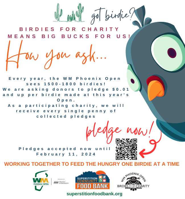 2024 Birdies For Charity Program
